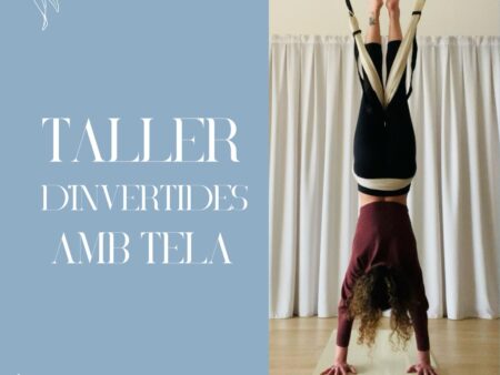 Taller d'invertides amb tela